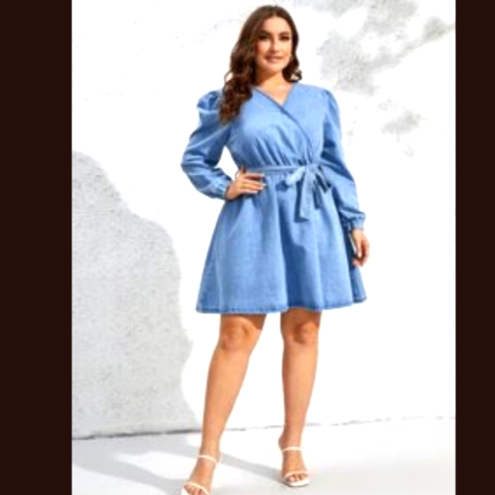 Denim Dress NWOT Sz18